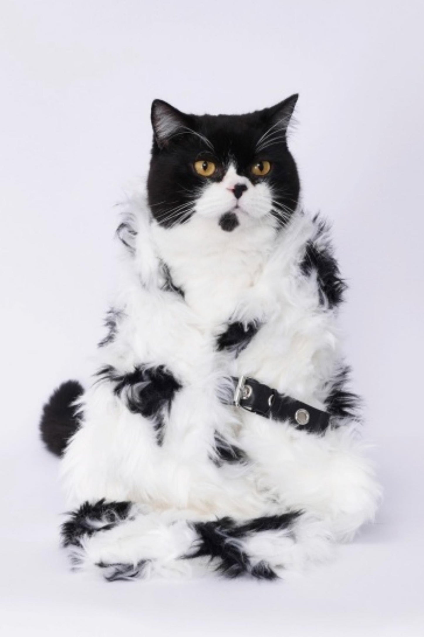 Rebirth Plush Patchwork Scarf