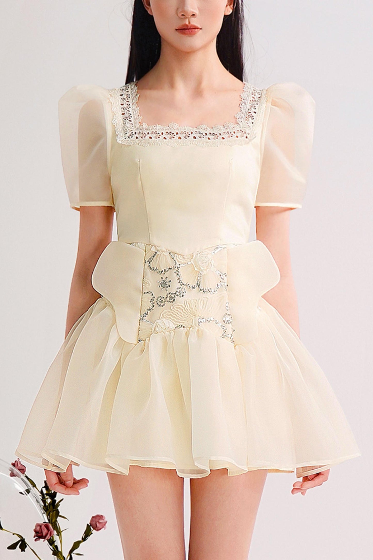 Embroidered Bubble Sleeve Mini Dress