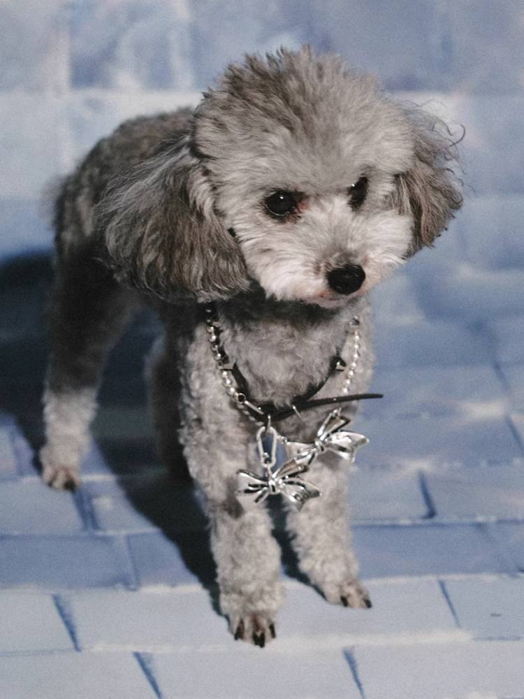 Retro silver ribbon earrings + necklace + pendant