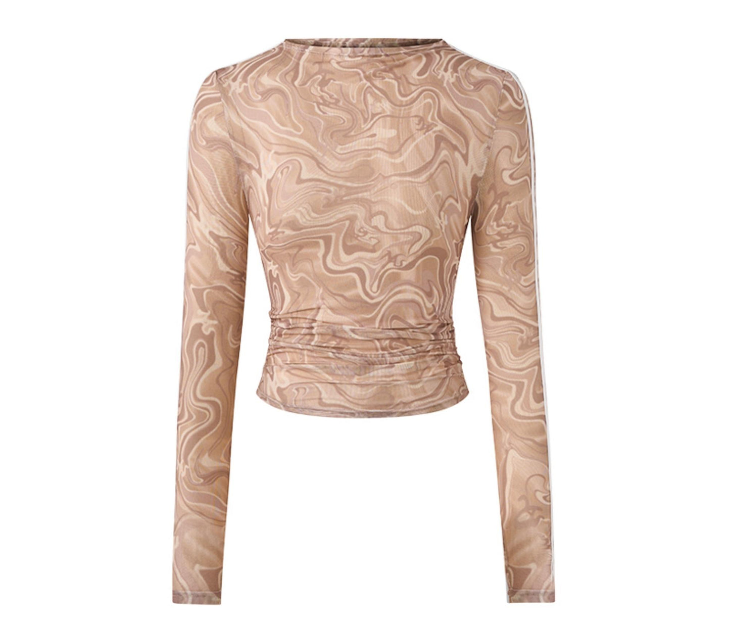 Sheer Pleated Long Sleeve Top