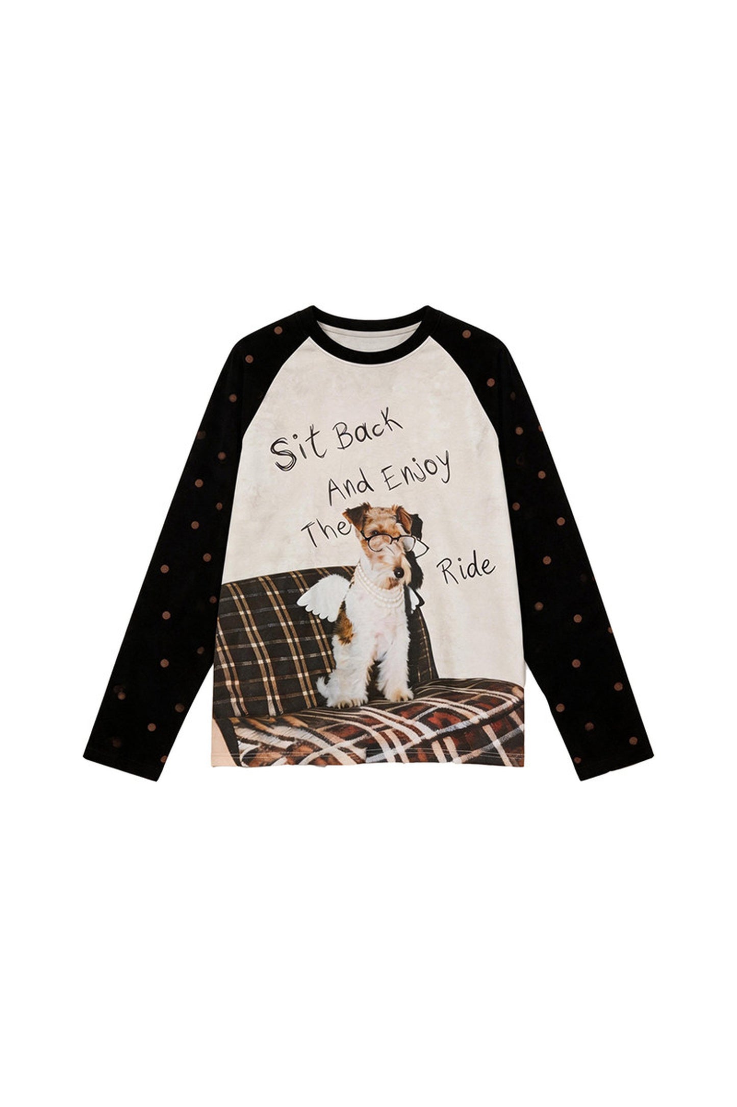 Langarm-T-Shirt mit Welpenprint, Farbblock-Design und Raglanärmeln