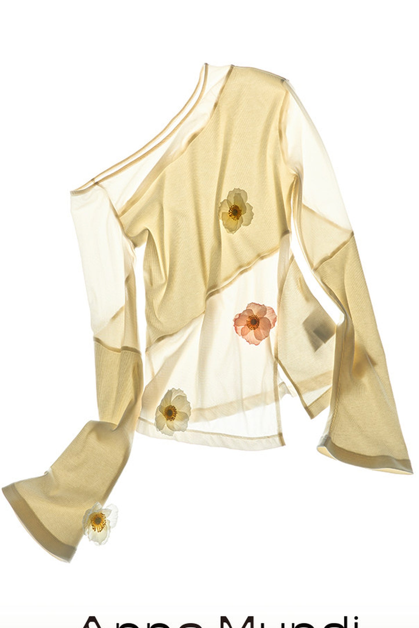 Asymmetrical Sheer Long Sleeve Blouse