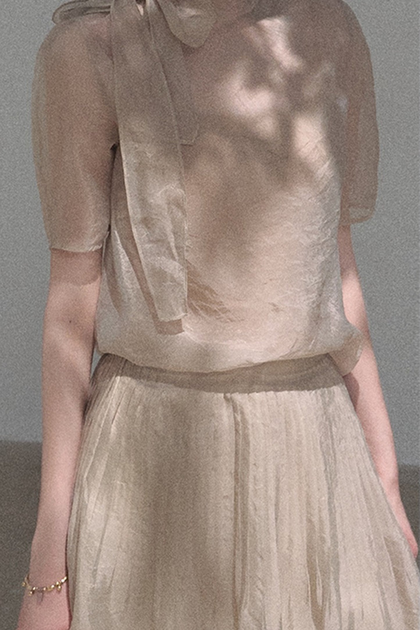 Short-Sleeved Chiffon Blouse and Pleated Mesh Skirt Set-Up