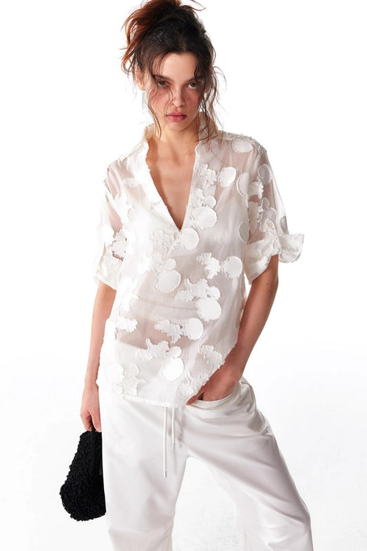 Organza V-Neck Pullover Top