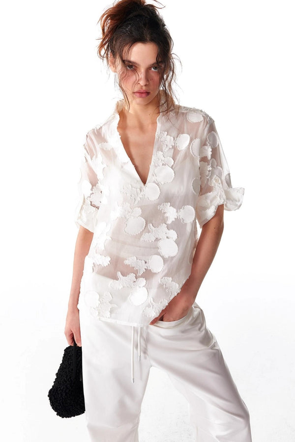 Organza V-Neck Pullover Top