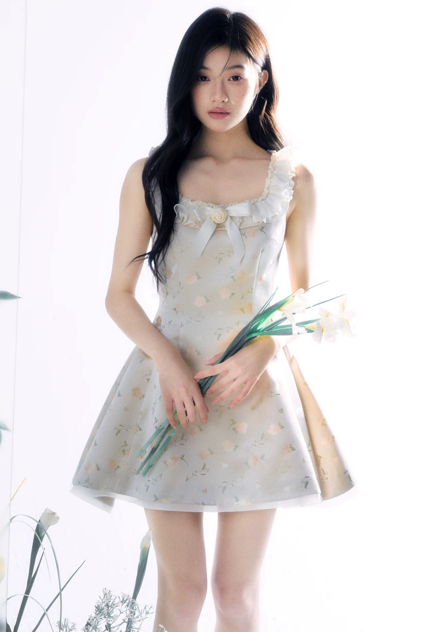Transparent Rose Jacquard Dress