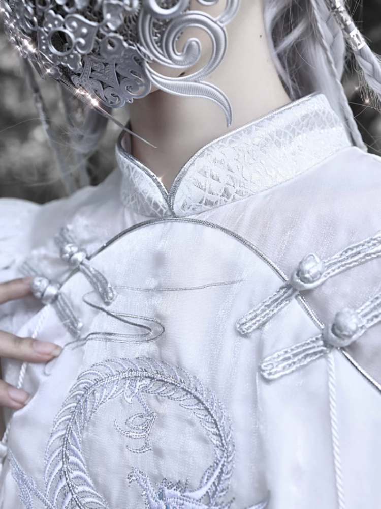 Silver Dragon Embroidery China Dress