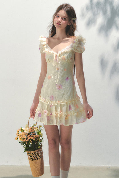 French Embroidered Sleeve Dress