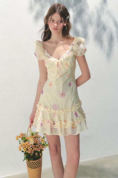 French Embroidered Sleeve Dress