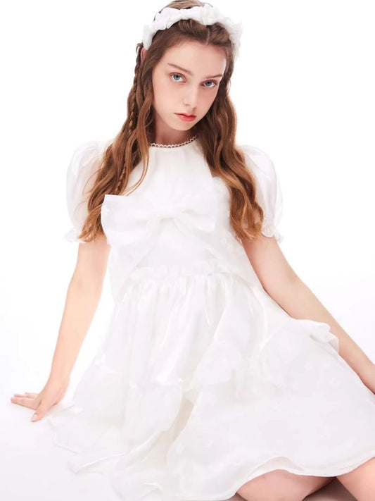 Bubble Sleeve Puffy Cake Dress