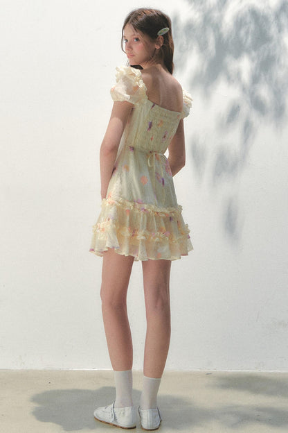 French Embroidered Sleeve Dress