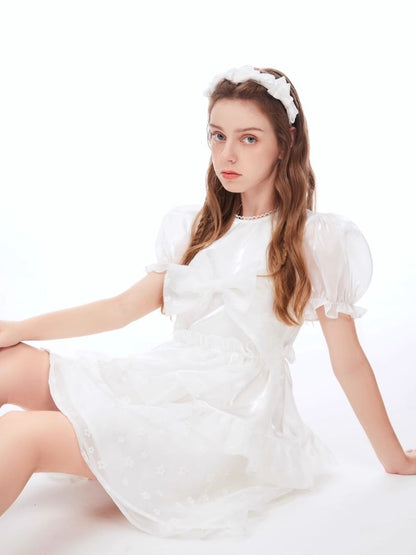 Bubble Sleeve Puffy Cake Dress