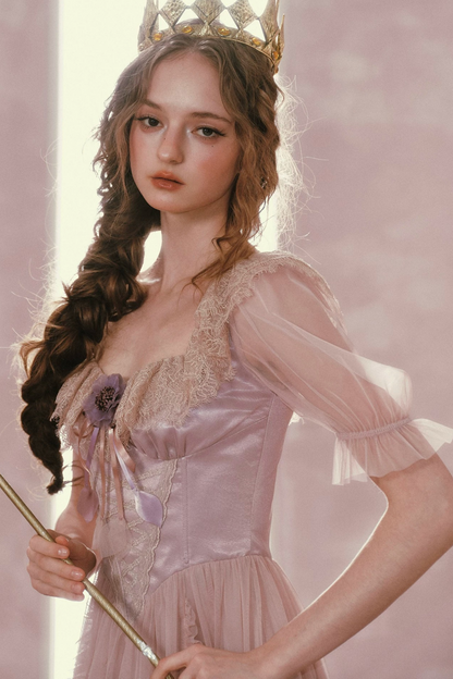 Purple Victorian Corset Mesh Dress
