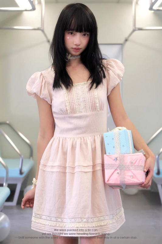 Pink Lace Spliced Dress