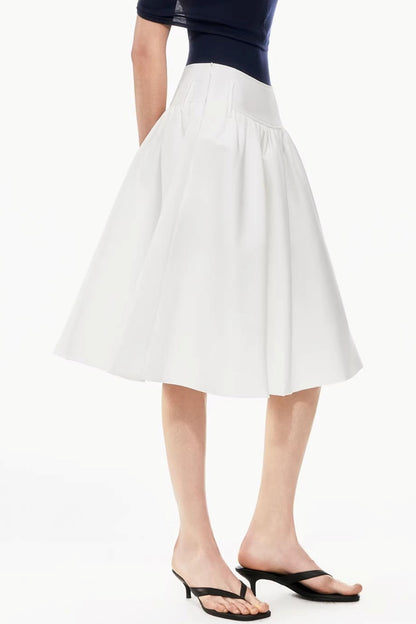 Two-Tone Pleated Puffy Skirt