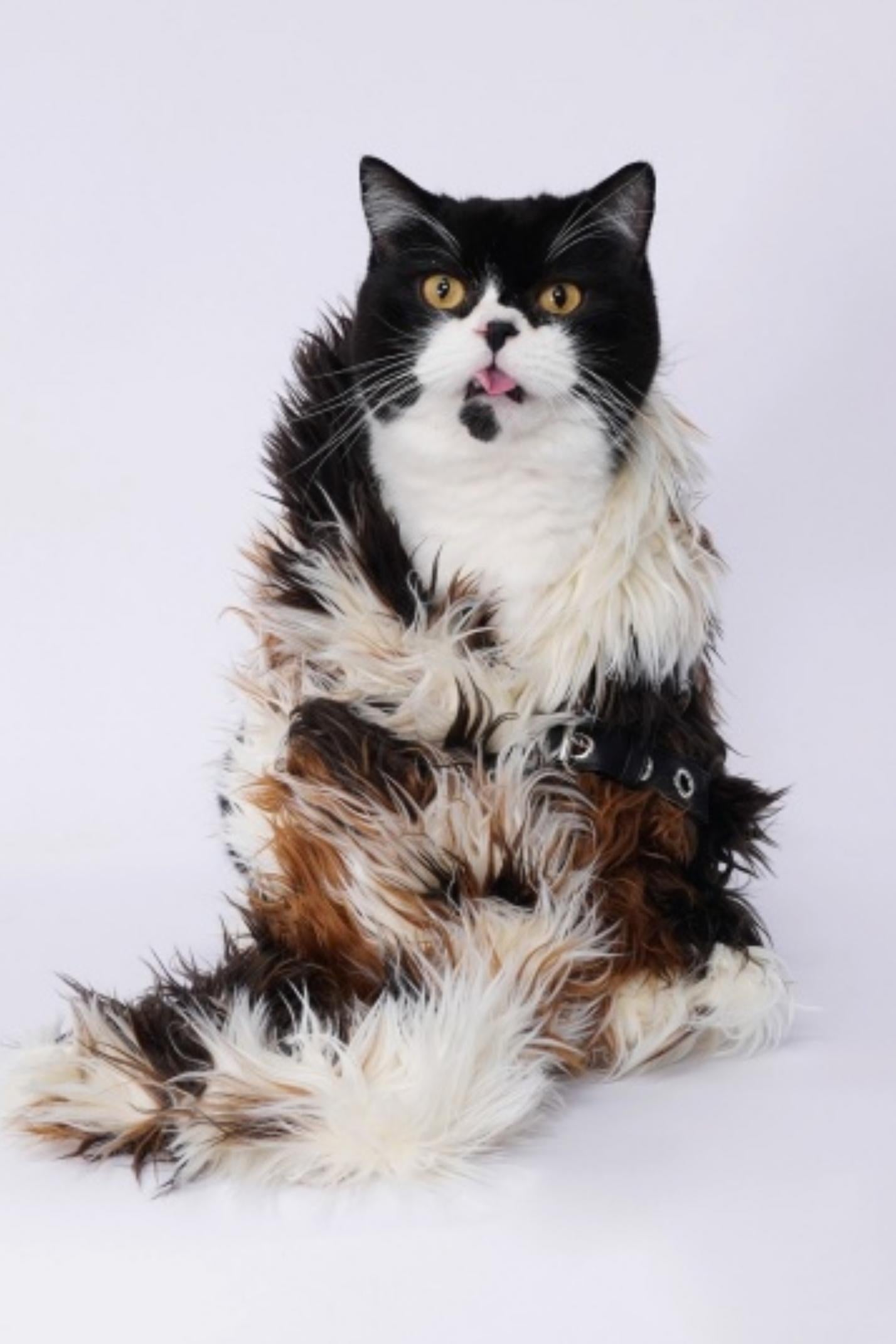 Rebirth Plush Patchwork Scarf