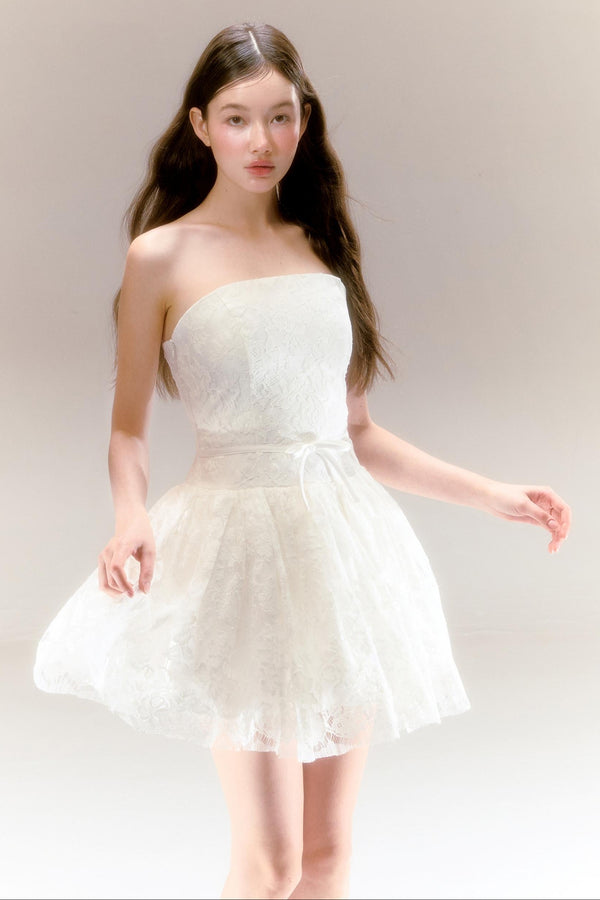 Swan Pom Ballet Dress