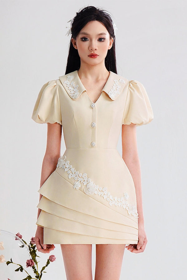 Lantern Sleeve Dress