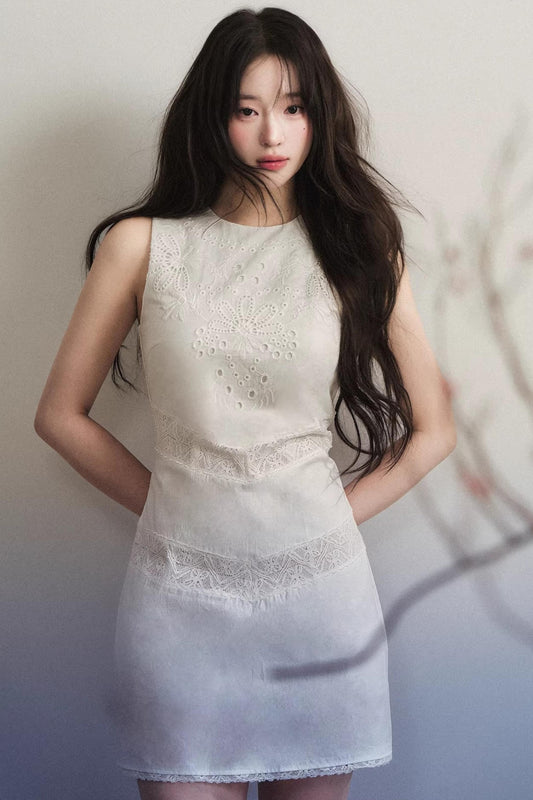 Hollow-Out Lace Dress