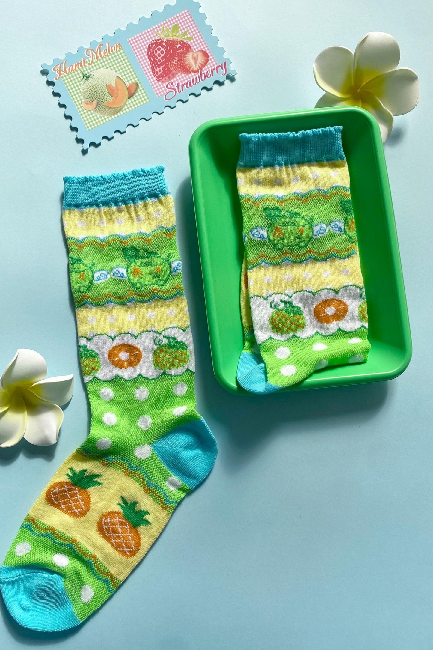 Whimsy Footwear Socks