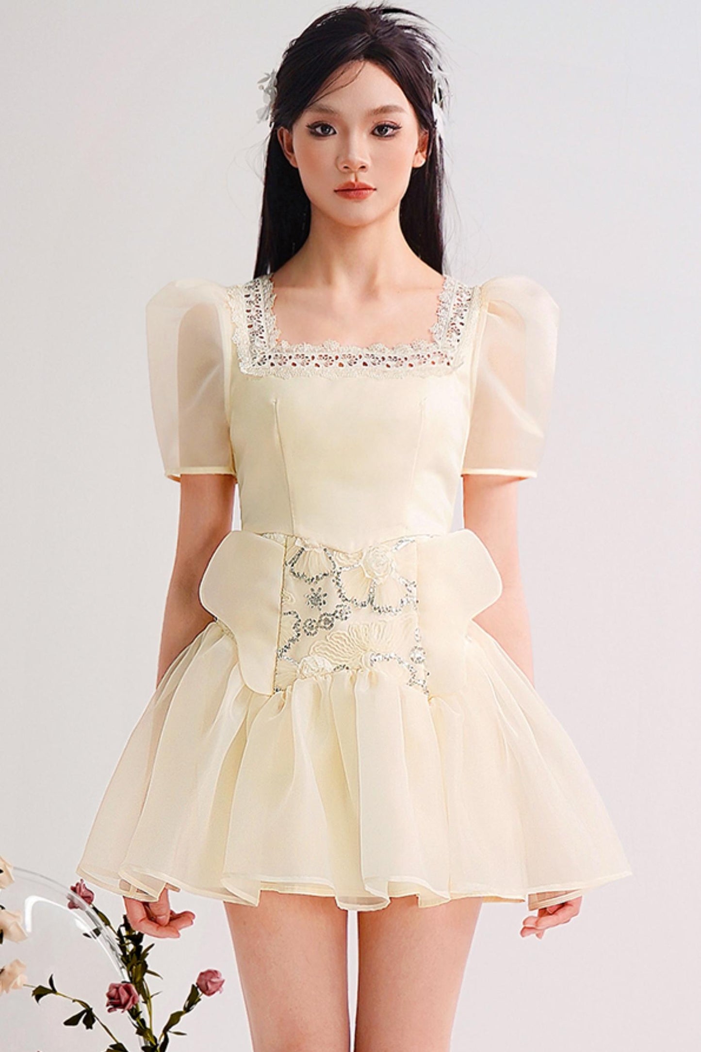 Embroidered Bubble Sleeve Mini Dress