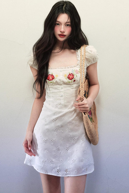 Embroidered A-Line Dress