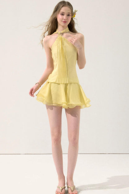 Chiffon Ruffle Skirt Set