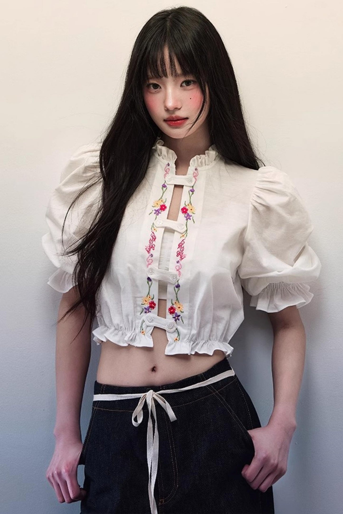 Embroidered Bubble Sleeve Blouse