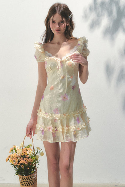 French Embroidered Sleeve Dress