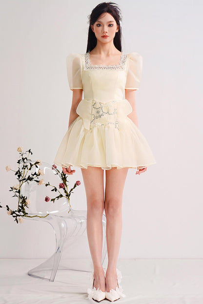 Embroidered Bubble Sleeve Mini Dress