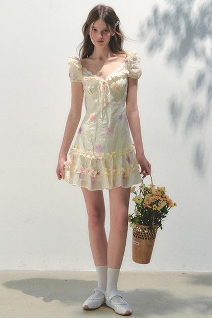 French Embroidered Sleeve Dress