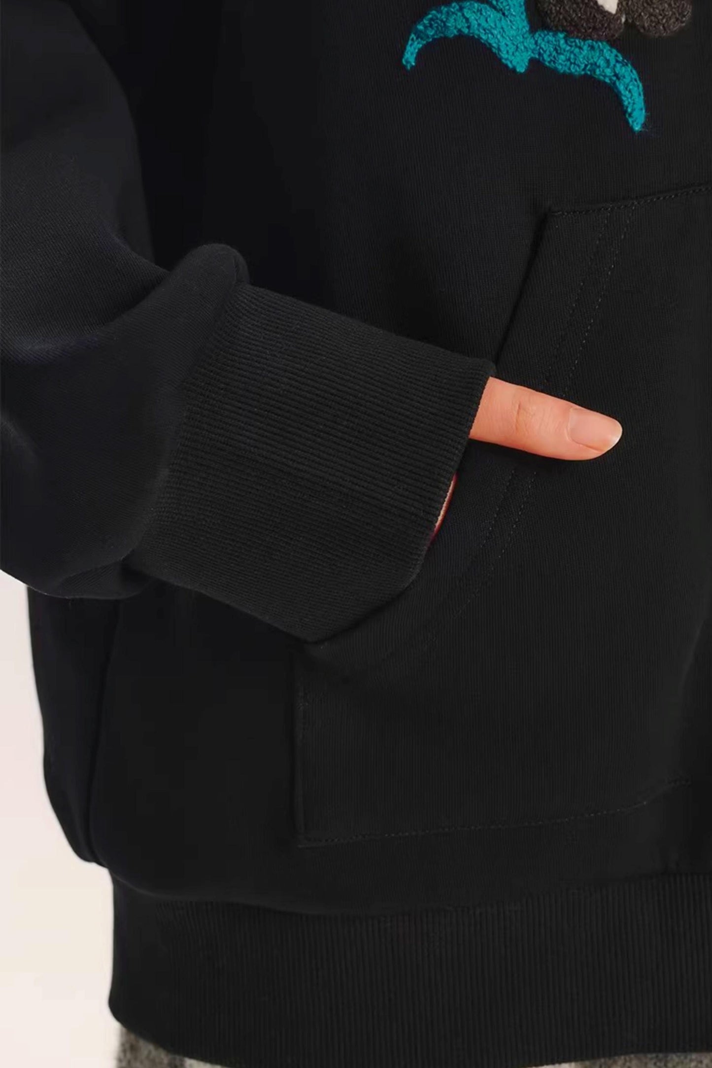 Color-Block Embroidered Hoodie