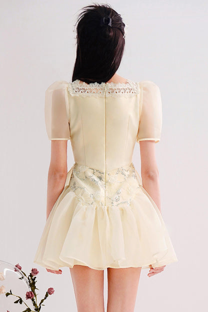 Embroidered Bubble Sleeve Mini Dress