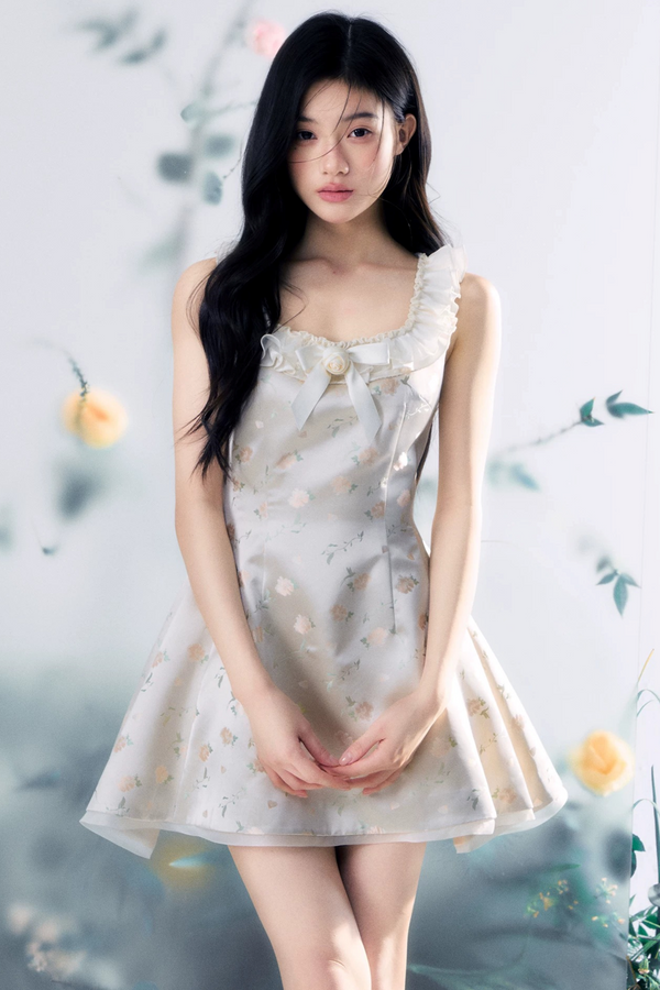 Transparent Rose Jacquard Dress