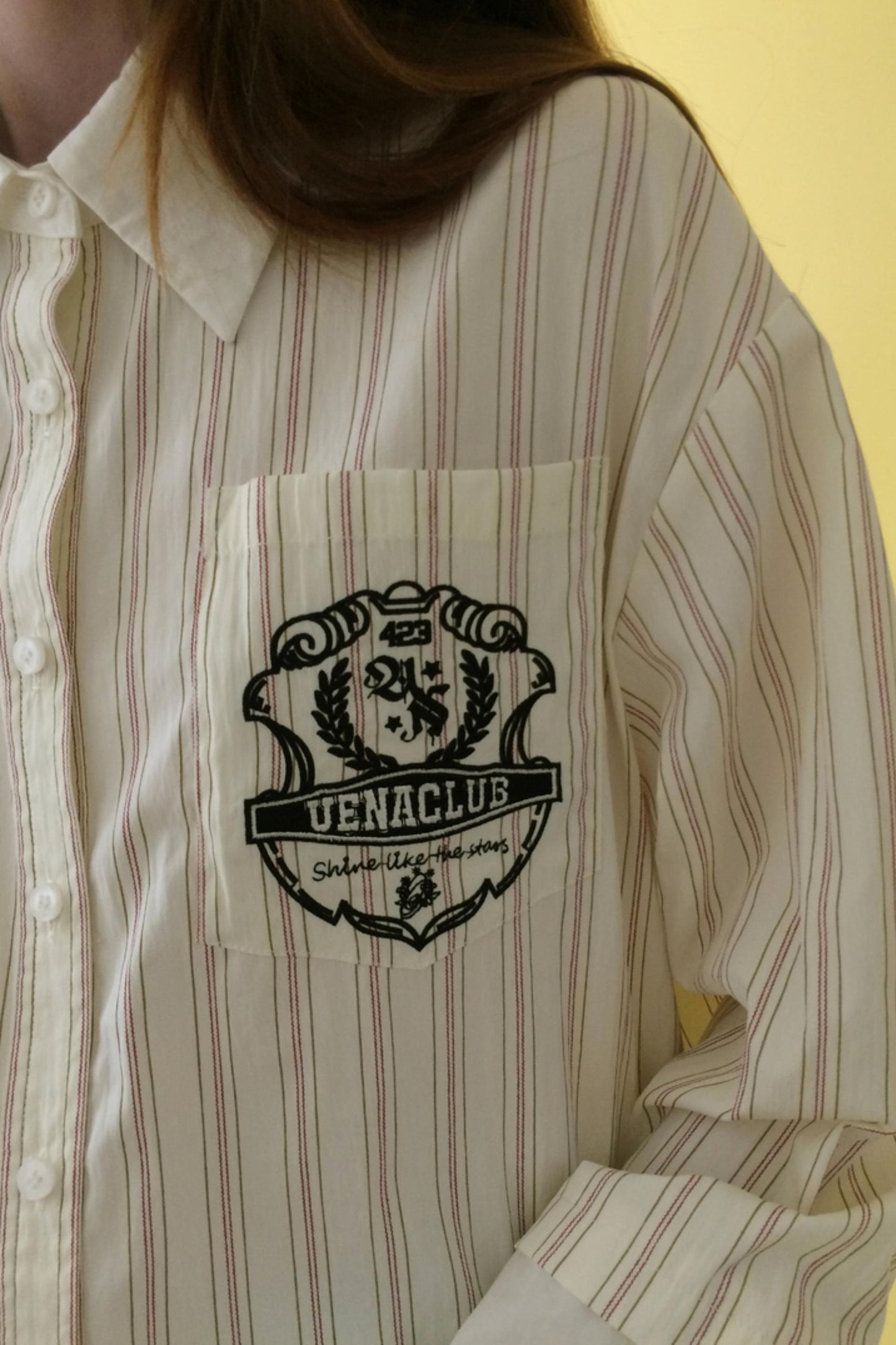 Beige Striped Embroidered Shirt