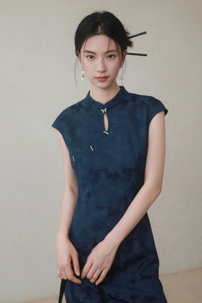 Summer Navy Denim Dress