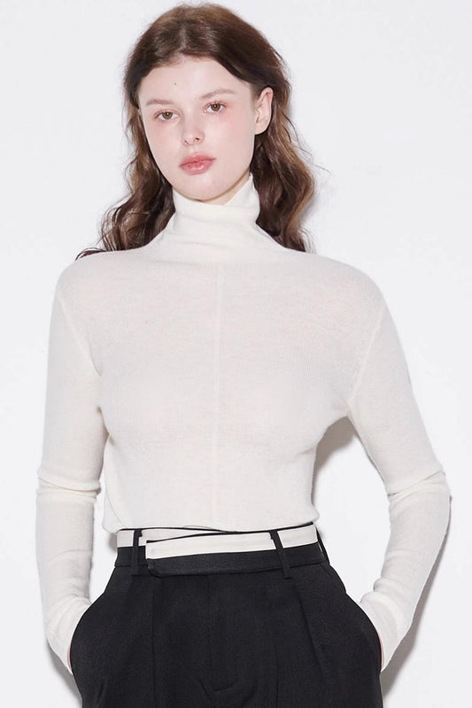Ultra-Fine Wool Turtleneck Sweater