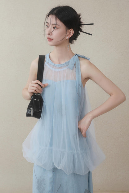 Summer Cloud Mesh Dress