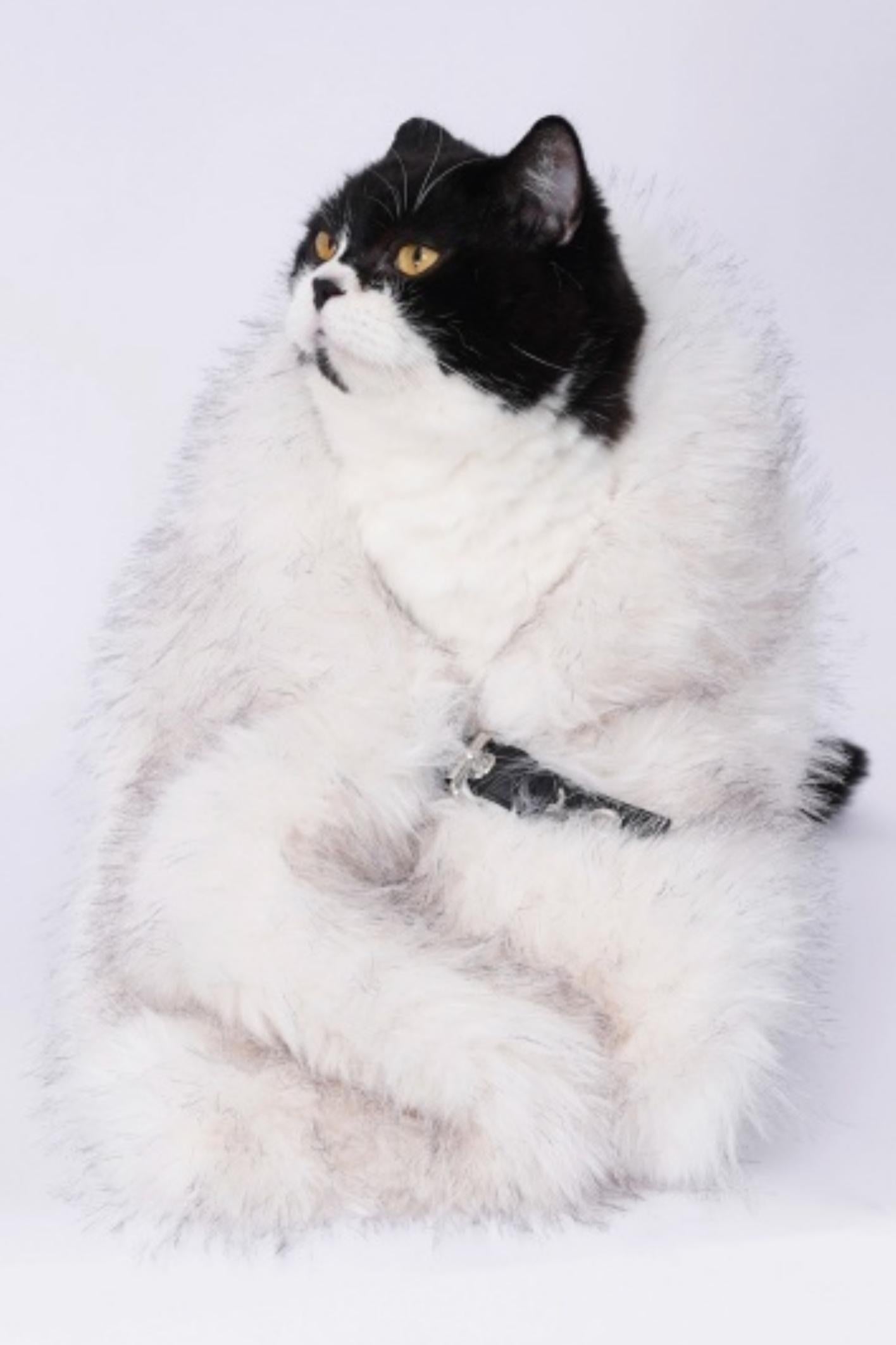 Heavy Industry Plush Patchwork Scarf