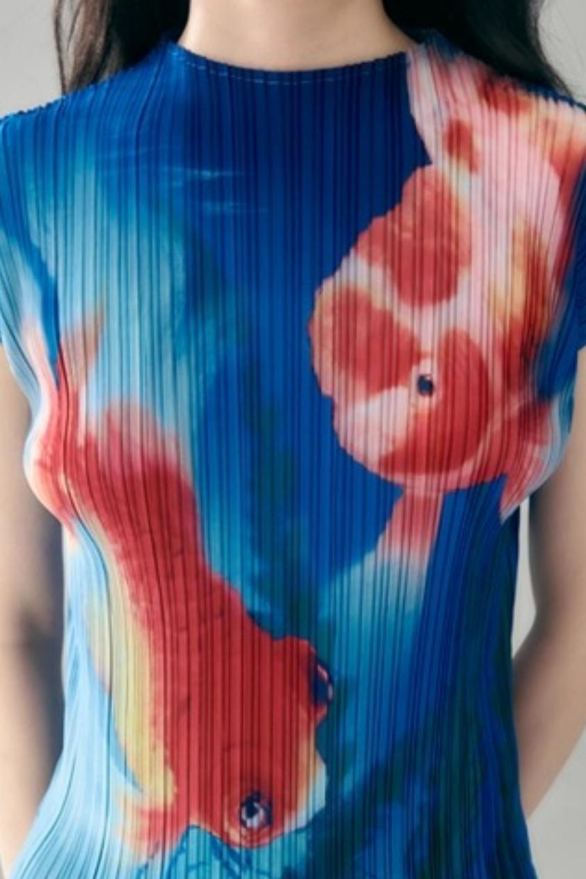 Goldfish Retro Pleated Top