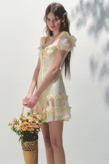 French Embroidered Sleeve Dress