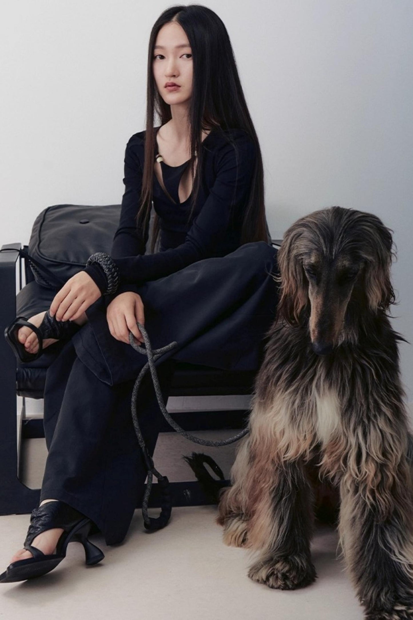 Sheer Silhouette Top