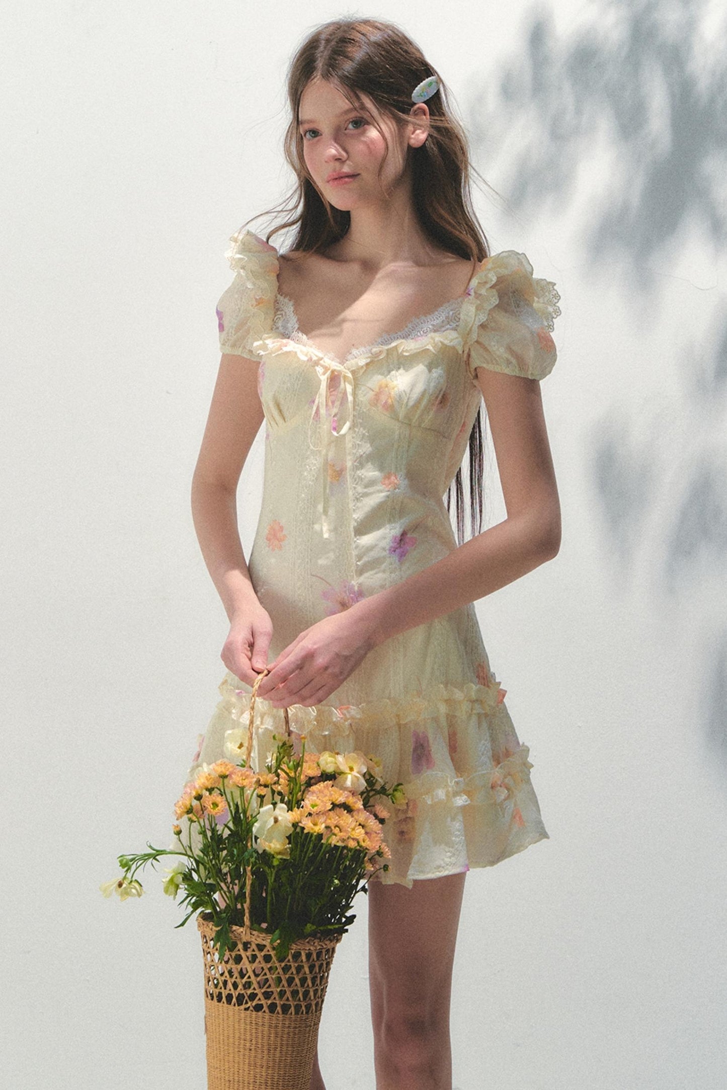 French Embroidered Sleeve Dress