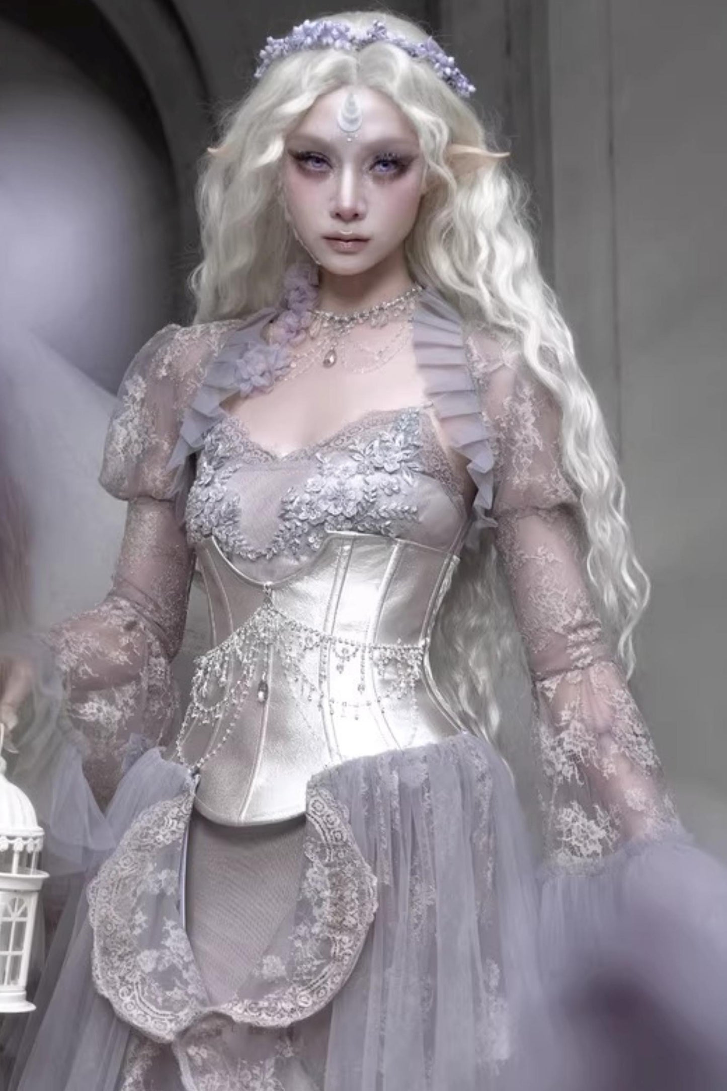 Moonlight Silver Corset Top Set