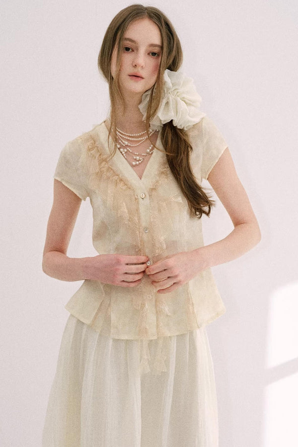 Misty Gray Lace A-Line Top