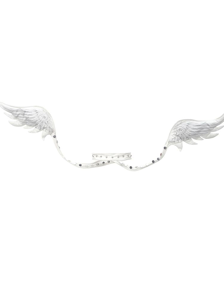 Angel Wings Collar