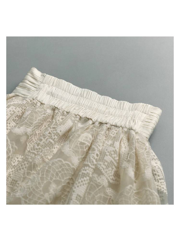 Lace embroidery skirt