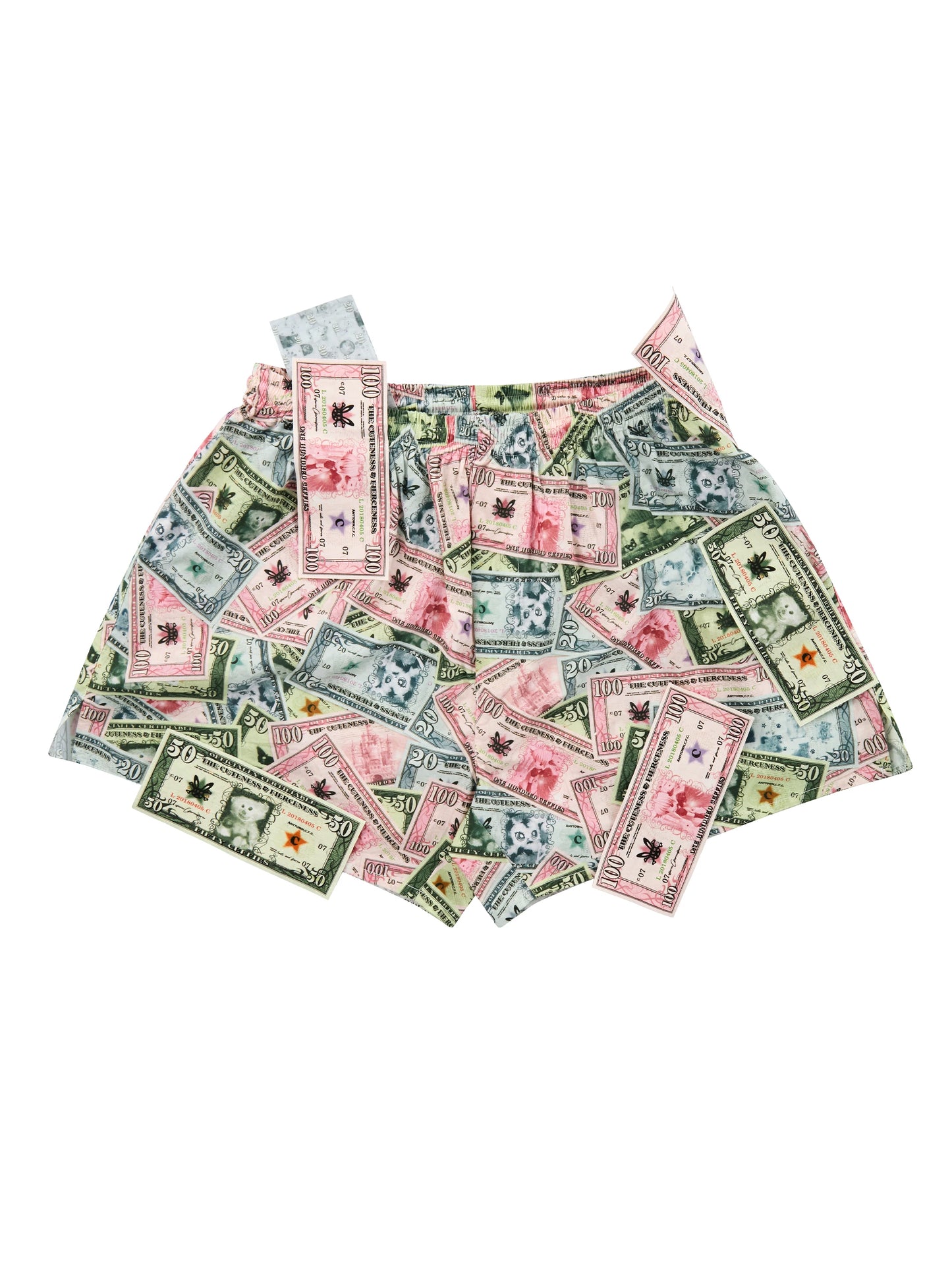 Money Printed Cargo Pants