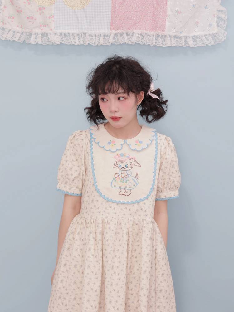 Vintage girly embroidery dress