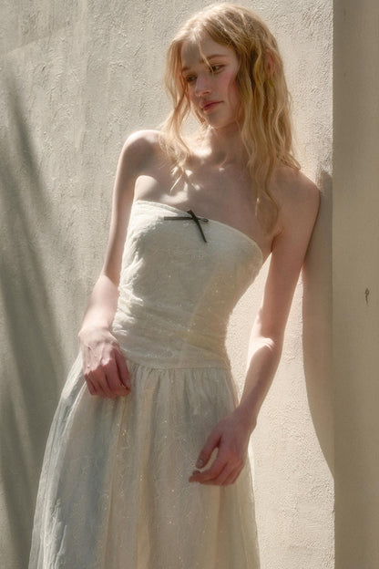 Sparkling Lace Fairy Gown Dress